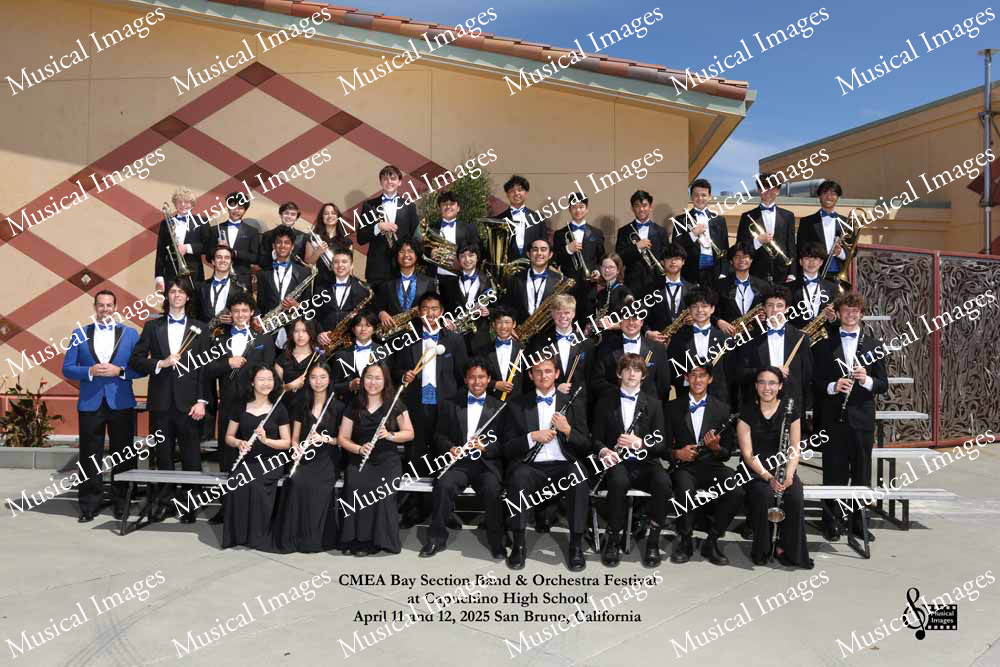 Musical Images